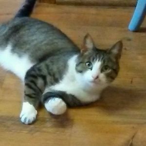 Meet your Posher, Sara